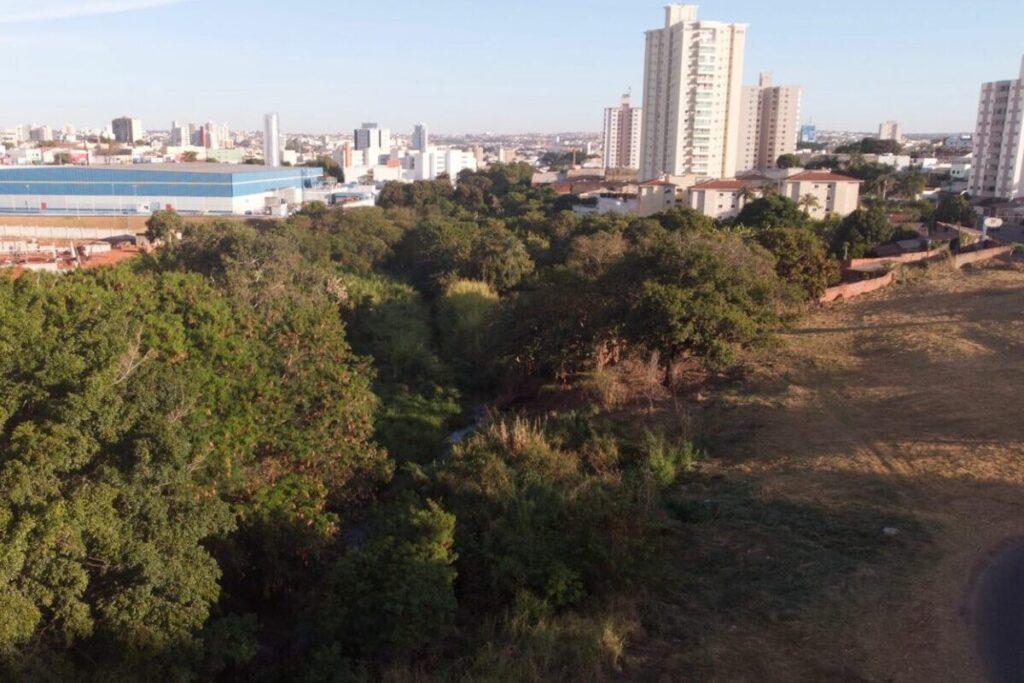 IMAGEM córrego João Cesário