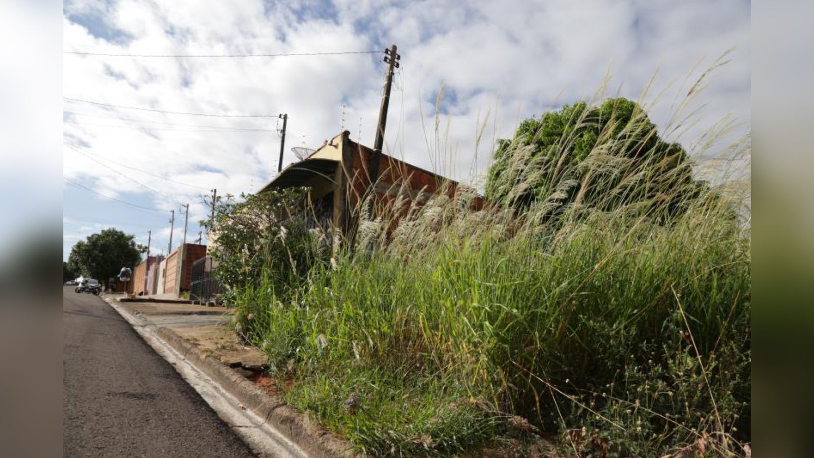 Vítima relata que foi estuprada em um lote baldio (Foto ilustrativa: Reprodução)