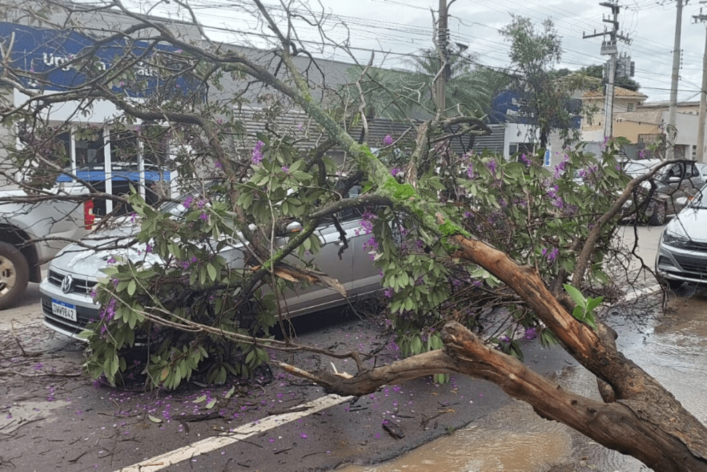 Árvore caída em cima de carro na Rua Coronel Batista