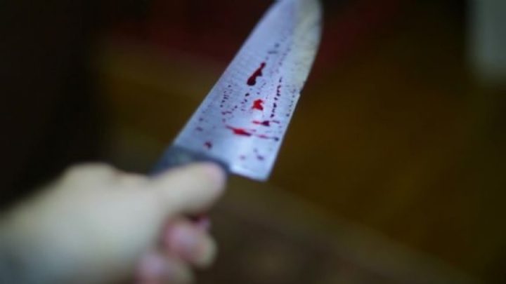 Facão utilizado no crime foi apreendido, de acordo com a PM (Foto ilustrativa: Reprodução)