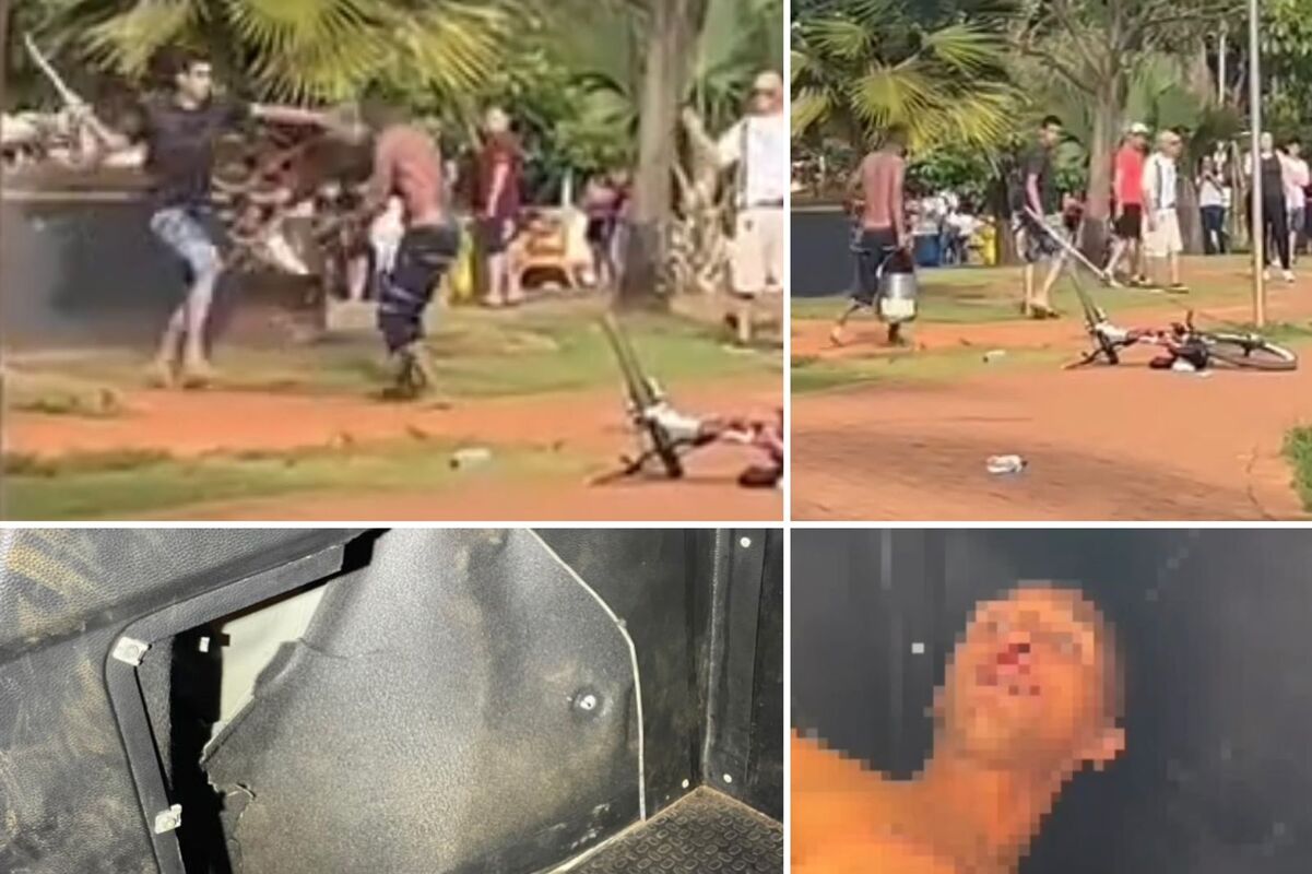 Fotos e vídeos das agressões e danos foram anexados na ocorrência (Foto: Captura)