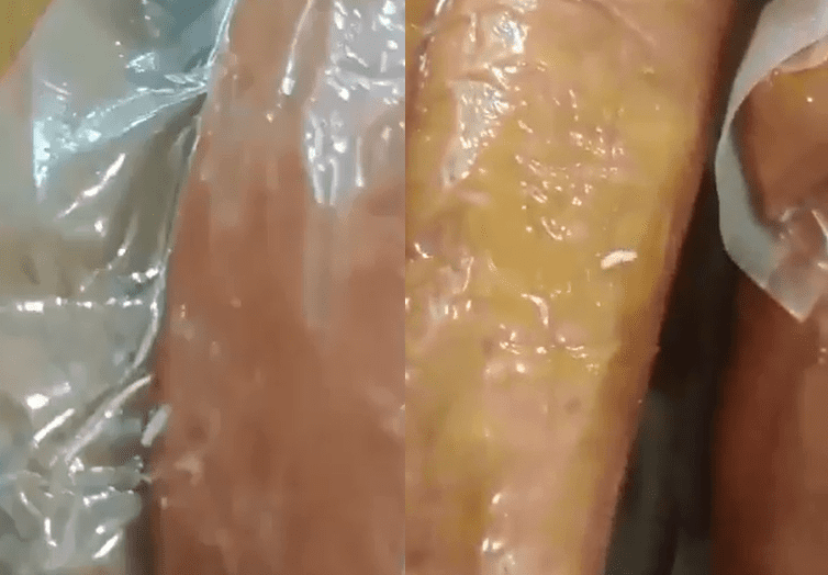 Vídeo que mostra larvas se alimentando de linguiças calabresas (Foto: Captura)