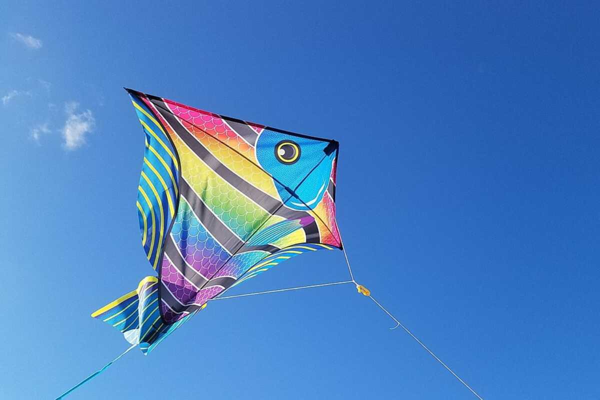 Confira as precauções para garantir que a brincadeira de pipas não termine com um acidente. (Foto: Reprodução / Pixabay)