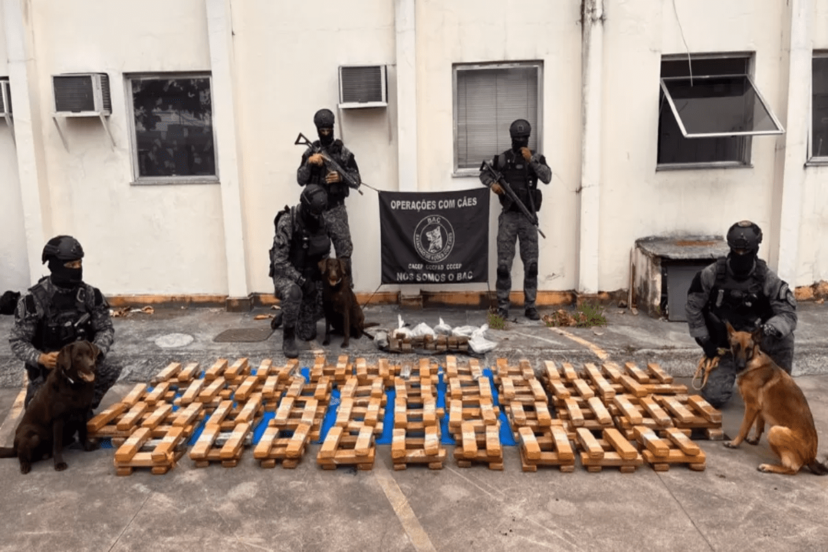 Seguindo as pistas dos animais, os policiais localizaram e apreenderam 250 tabletes de maconha, avaliados em R$ 1 milhão. (Foto: Divulgação / PMRJ)