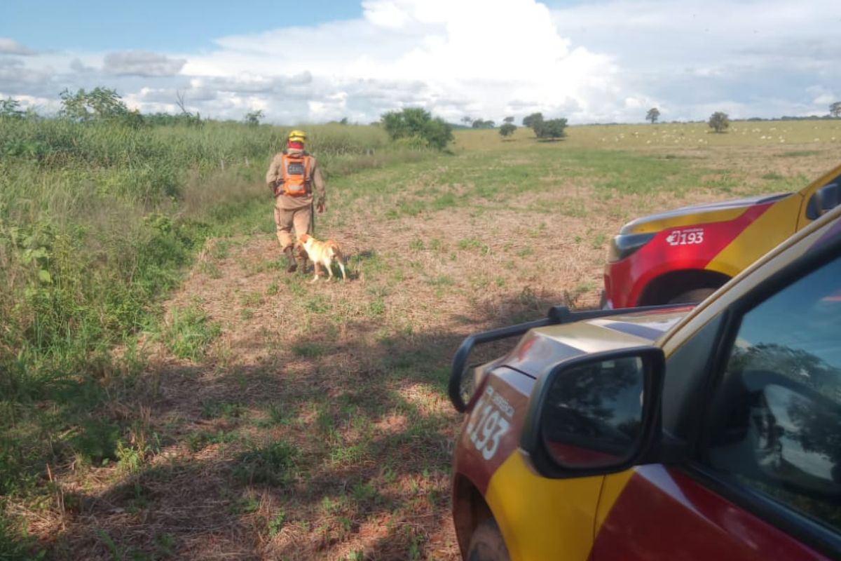 foto de equipe do corpo de bombeiros realizando buscas em pirenópolis