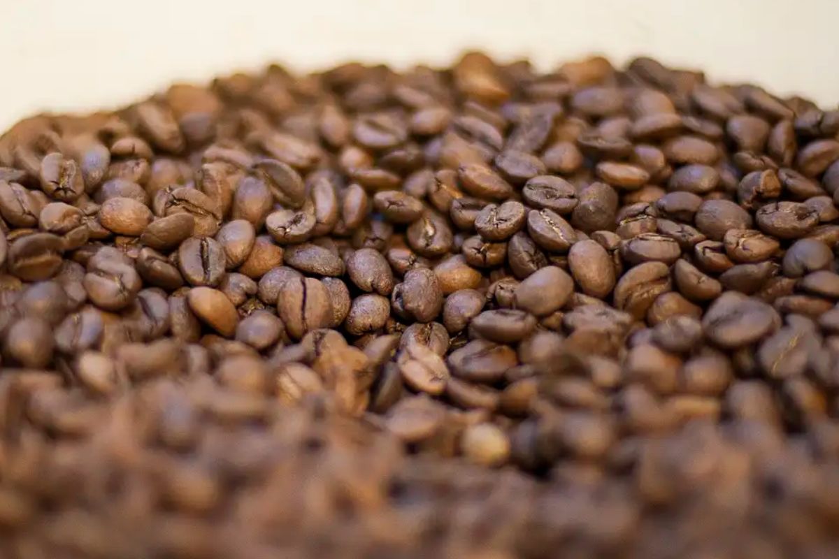 foto de grãos de café