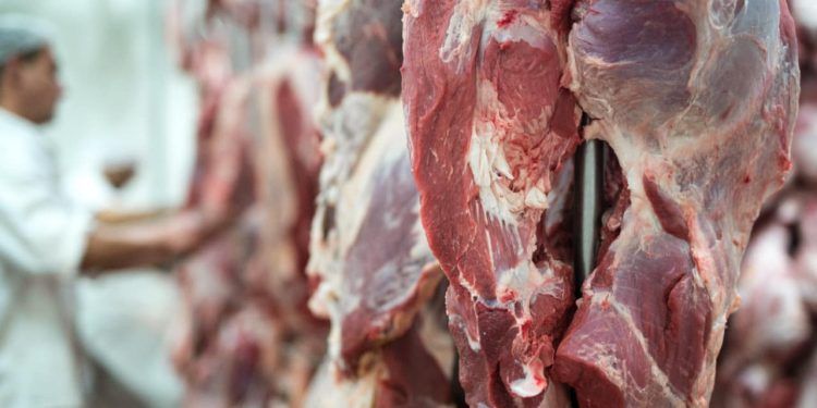 Governo chinês volta a importar carne brasileira. Carne em uma câmara fria.