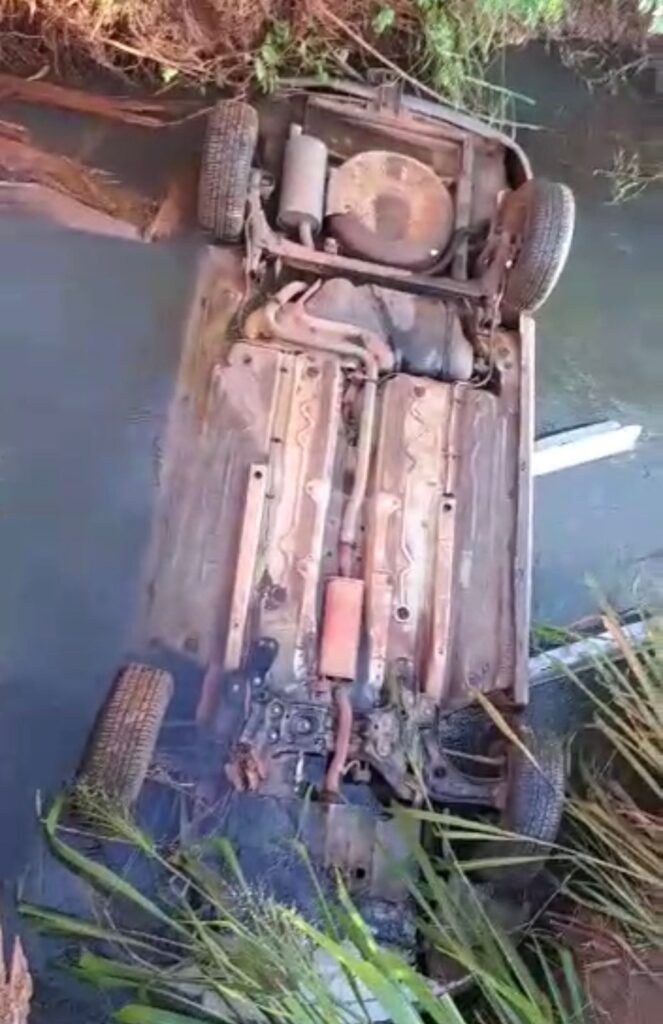 Carro dos idosos ficou submerso após cair no carro (Foto: Captura)