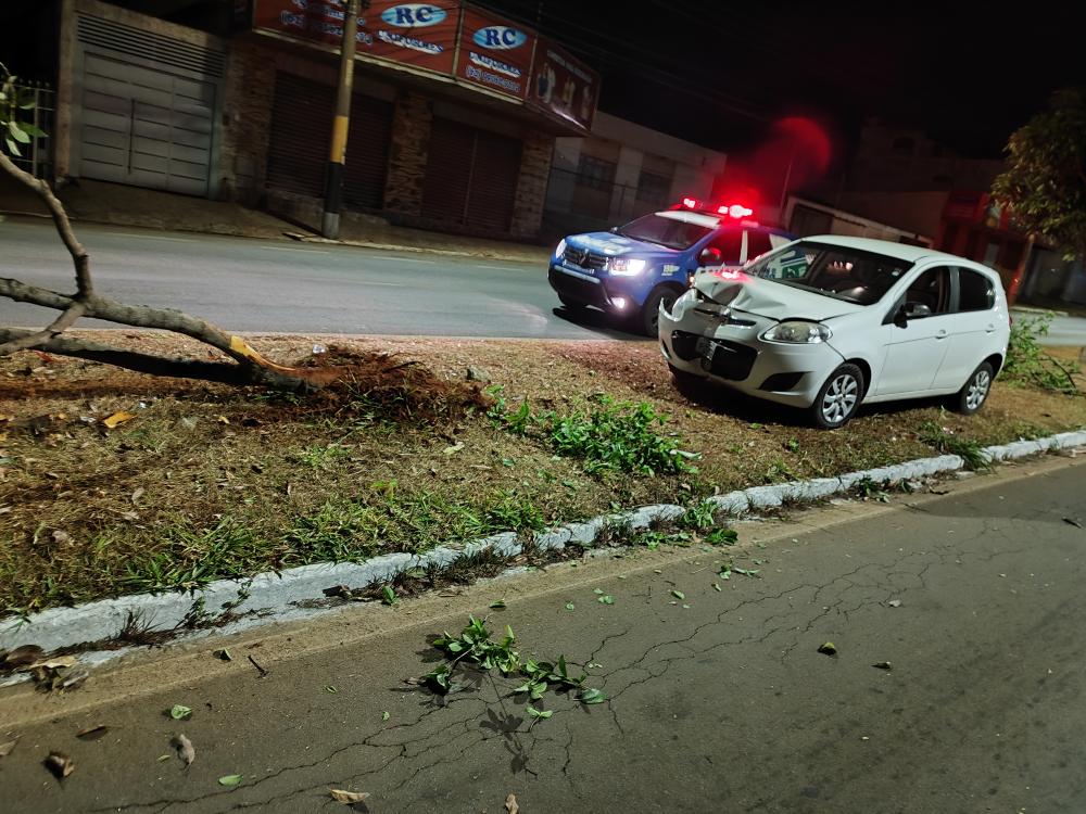 Carro derrubou árvore na Avenida Presidente Kennedy (Foto: Divulgação - PM)