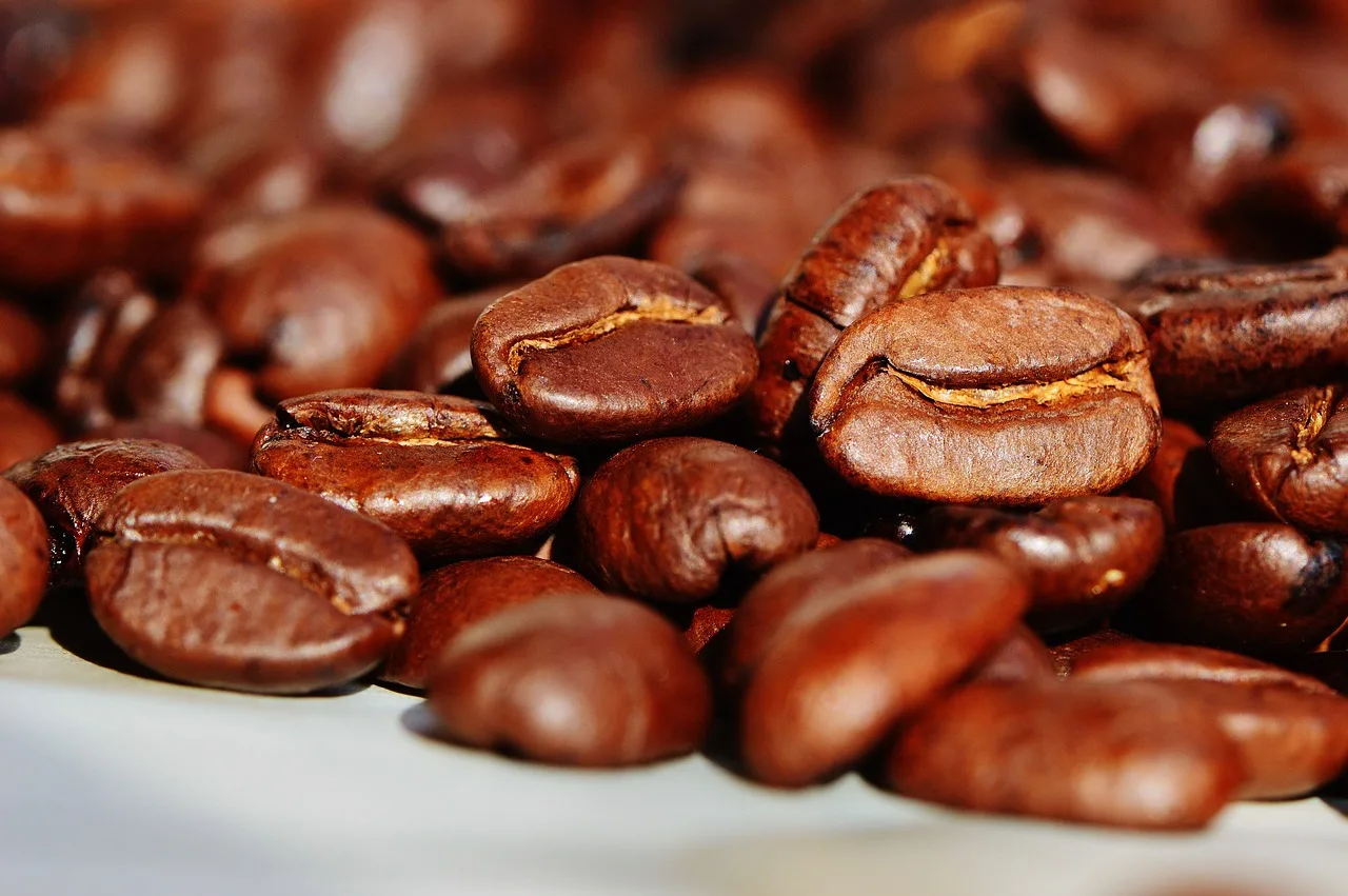 Grãos de café torrados e prontos para moagem (Foto: Reprodução / Pixabay)