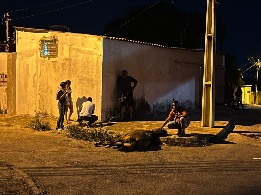 Cavalo ficou ferido após o crime (Foto: Jonathan Cavalcante - Rádio São Francisco FM)