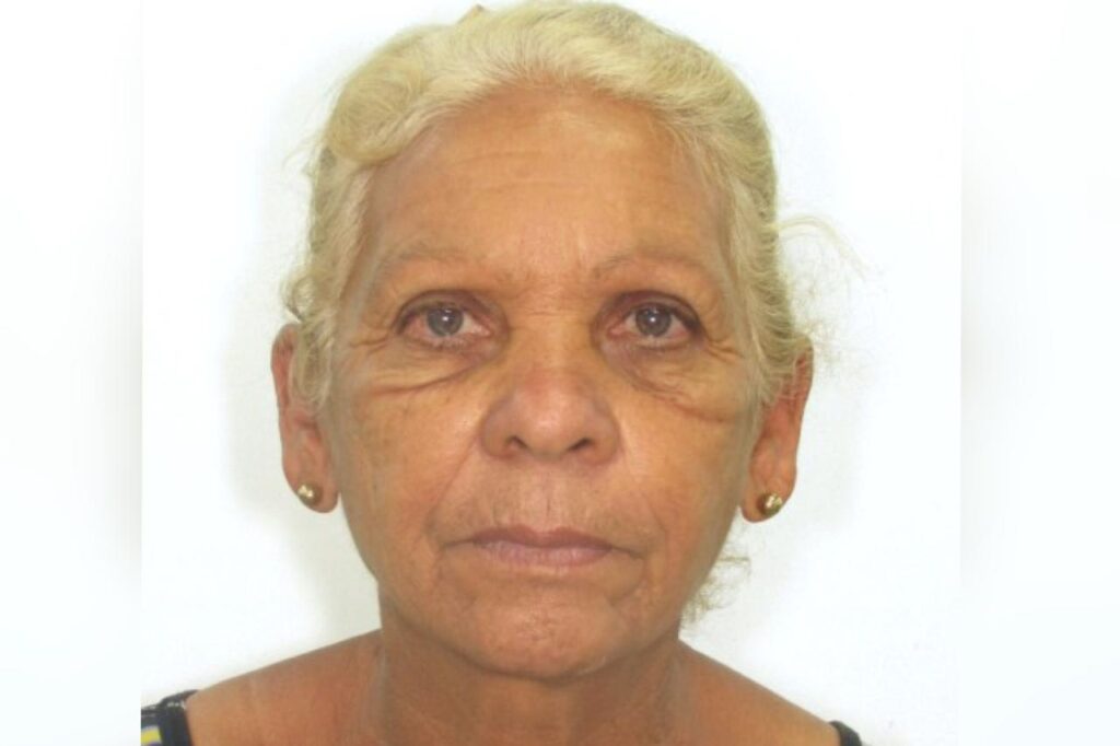 Cleusa Alves Carvalho, vítima do atropelamento (Foto: Reprodução)
