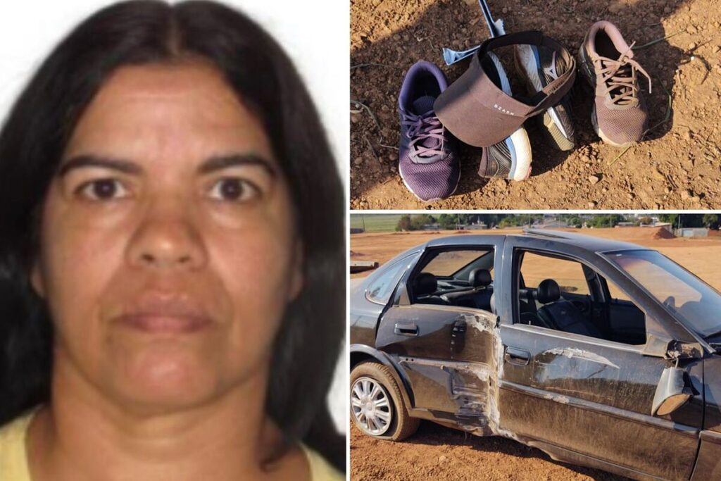 Eliane da Silva Almeida, não resistiu aos ferimentos (Foto: Reprodução e Victor Santos)