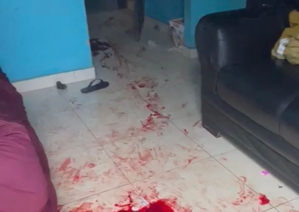 Chão da sala também ficou sujo de sangue (Foto: Reprodução)
