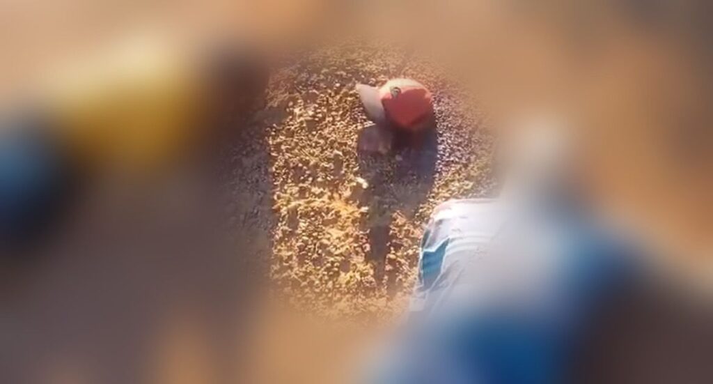 Jovens foram mortos a tiros na GO-338 (Foto: Captura)