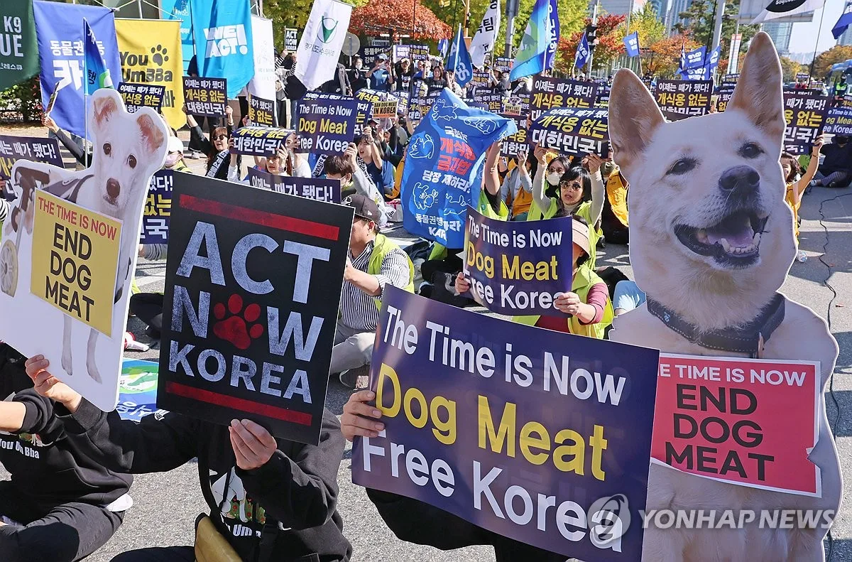 Movimentos contrários ao consumo de carne canina vêm crescido no país (Foto: Reprodução / Yonhap)
