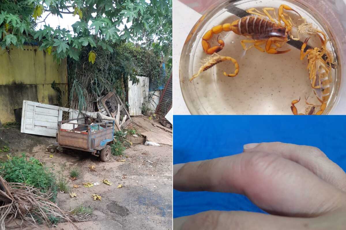 Aposentada relata que já encontrou escorpiões até na cama. (Foto: Reprodução / Imagens cedidas à Rádio São Francisco)