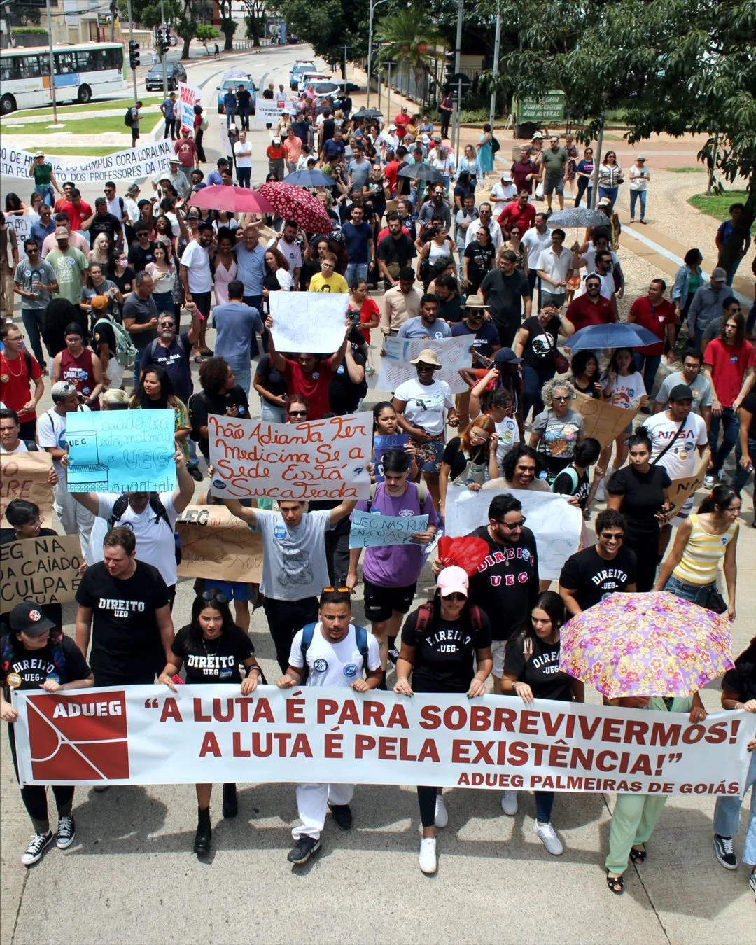 Estudantes e Professores da UEG se reuniram em manifestações em Goiânia. (Foto: Reprodução / Adueg)