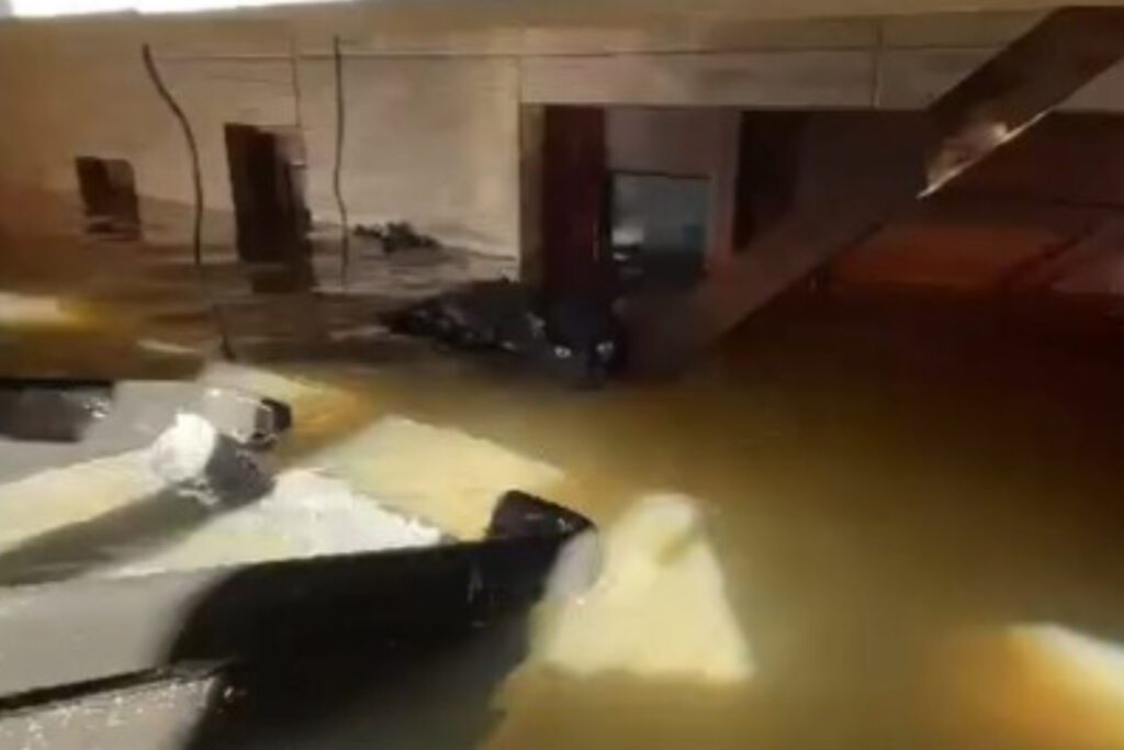 O gatinho foi resgatado desta situação de risco. (Foto: Captura)