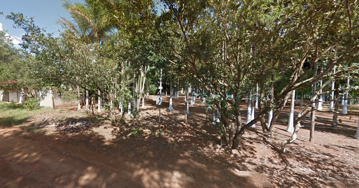Casal foi visto em uma área de mata do Setor Sítio de Recreio Jardim Boa Vista (Foto: Captura/Google Maps)