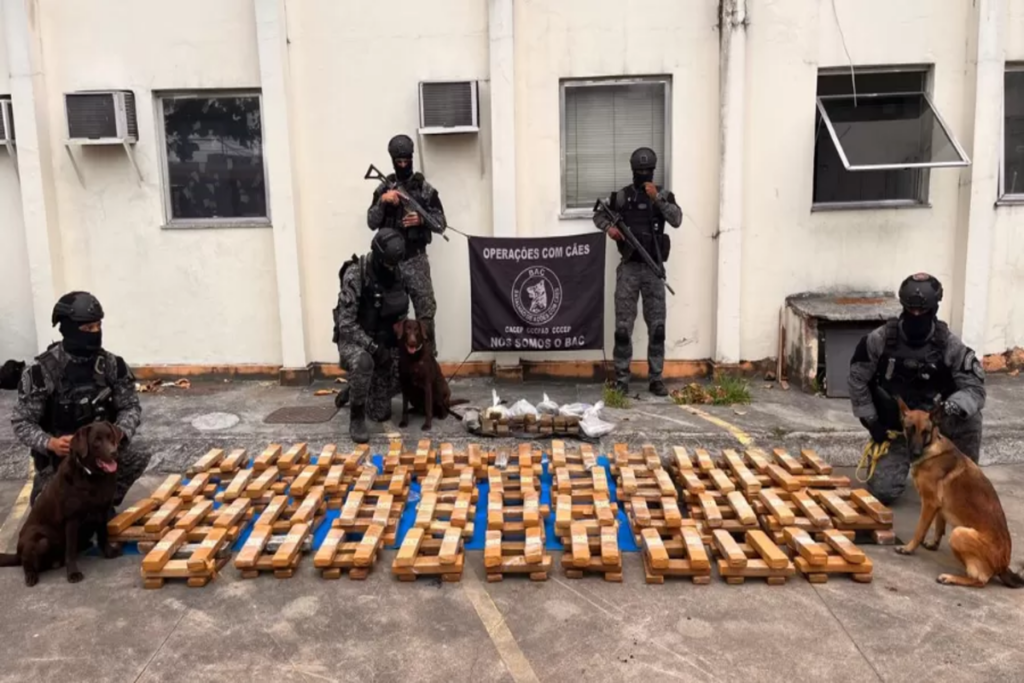 Seguindo as pistas dos animais, os policiais localizaram e apreenderam 250 tabletes de maconha, avaliados em R$ 1 milhão. (Foto: Divulgação / PMRJ)