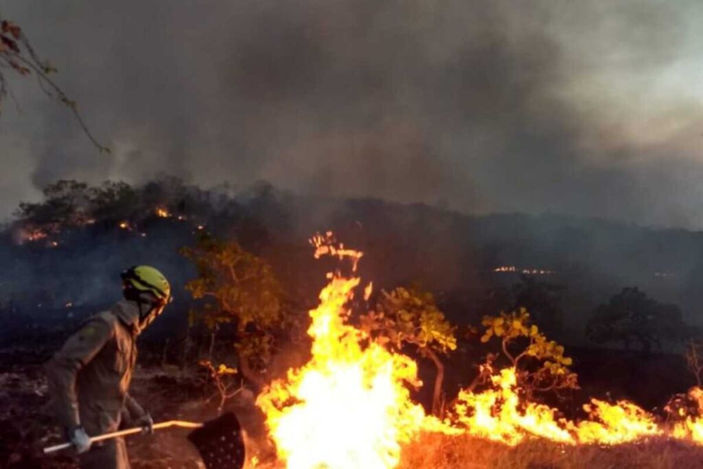 Desde o início de 2024, o estado de Goiás já contabilizou 8.623 focos de incêndio. (Foto: Reprodução / Governo de Goiás)