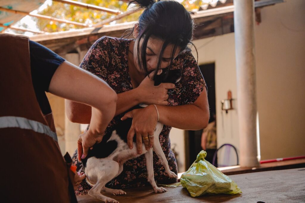 Prefeitura diz que é primordial que os cães sejam levados com coleira (Foto: Divulgação)