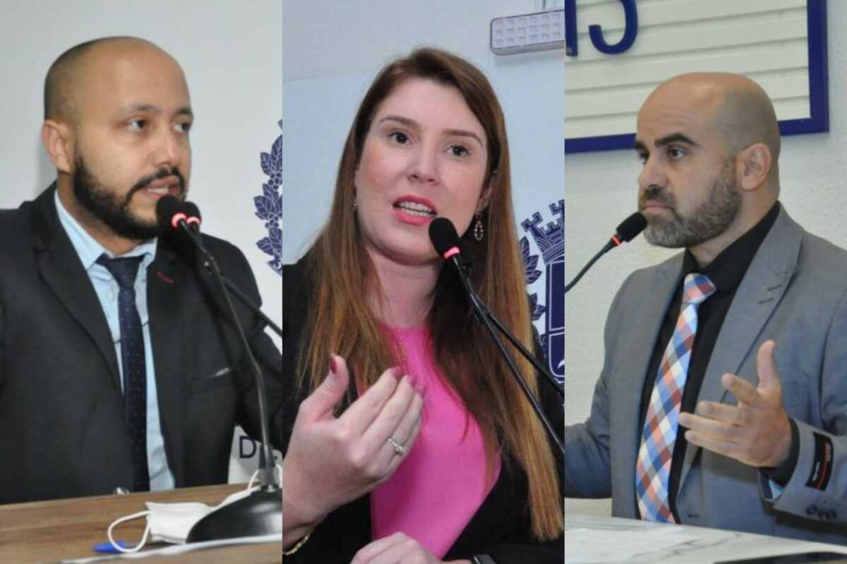 Da esquerda para a direita: Professor Marcos Carvalho (PT), Andreia Rezende (Avante) e Dr. José Fernandes (MDB), os três vereadores mais bem votados (Foto: Reprodução)