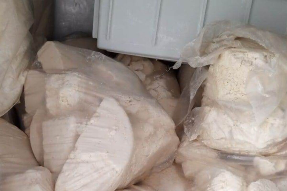 880 quilos de queijo impróprio para o consumo foi apreendido durante a fiscalização (Foto: Agrodefesa)