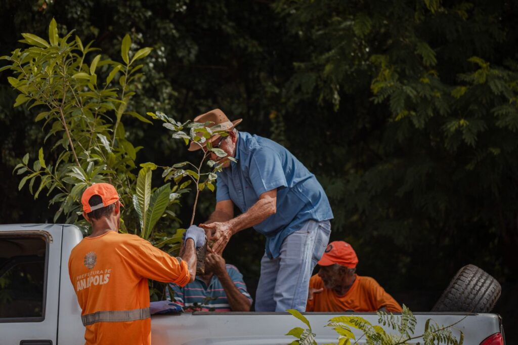 Entre as mudas disponíveis no Troca Consciente estão espécies nativas do cerrado, incluindo frutíferas como caju, ameixa, abacate e café, além de ipês (Foto: Divulgação)