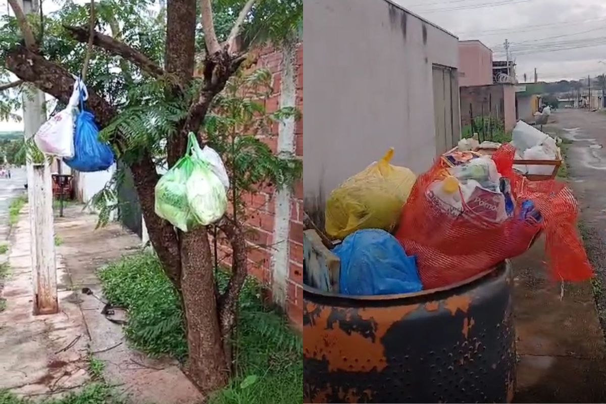 montagem com capturas de tela sobre lixo em Anápolis