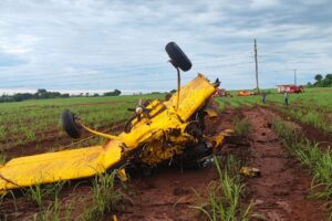 Avião agrícola caiu em uma lavoura de cana de açúcar em Quirinópolis (Foto: Divulgação/Bombeiros)