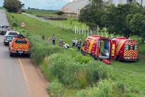 Equipes do Corpo de Bombeiros de Anápolis resgataram as vítimas às margens da GO-330 (Foto: Divulgação)