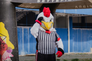 foto do mascote do Anápolis Futebol Clube