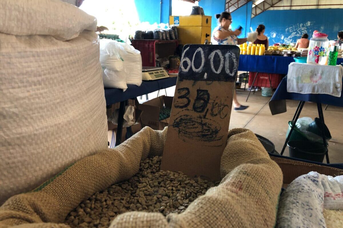 foto de grãos de café sendo vendidos em feira de Anápolis