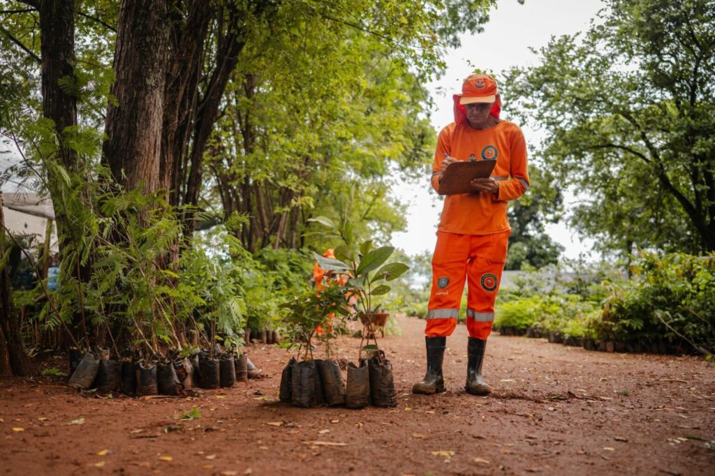 foto de homem ao lado de muda de árvore nativa do cerrado, simbolizando o troca sustentável